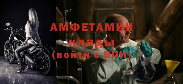 сатива Баксан