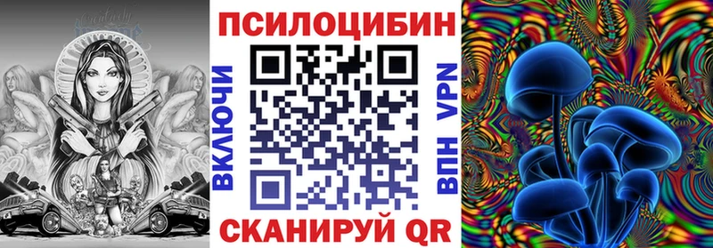Галлюциногенные грибы прущие грибы  Мглин 