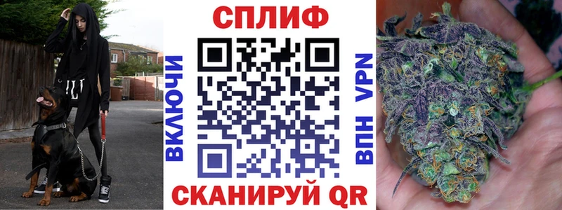 Канабис семена  блэк спрут ТОР  Мглин 